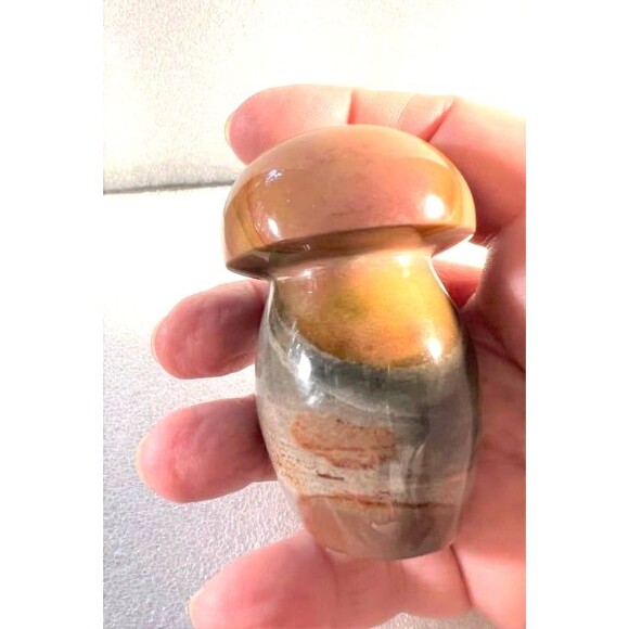 Very Pretty Polychrome Mushroom - Picture 5 of 7